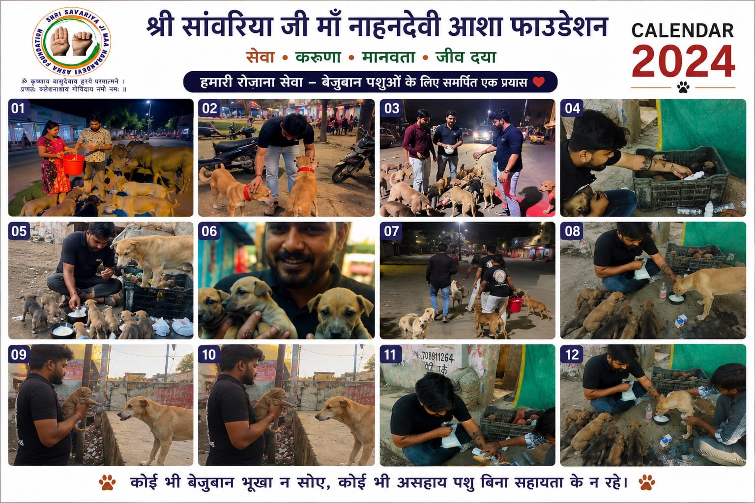 Street Dog Feeding